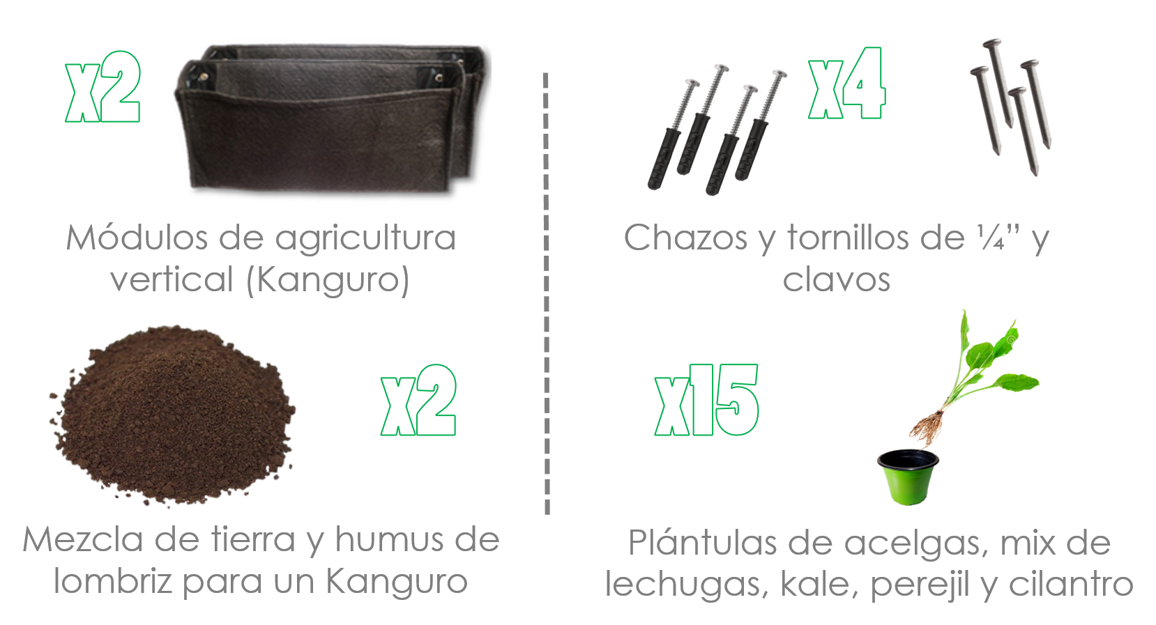Jardines Verticales Agricultura Urbana Colombia
