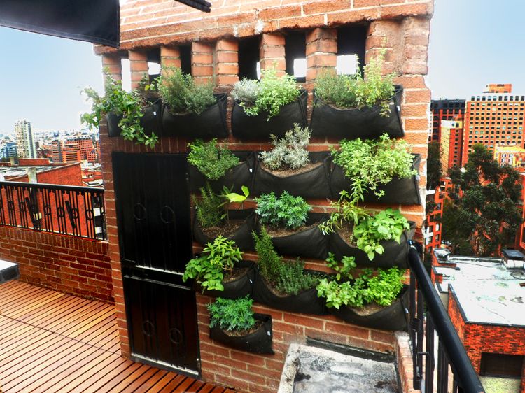 Como hacer un jardín vertical