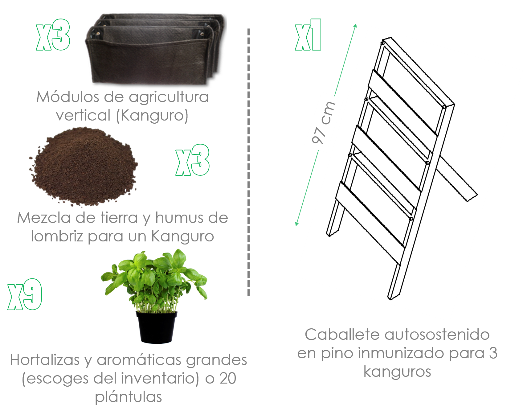 Como un Jardín y Huerta Casera -