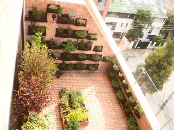Diseño de Jardines interiores Bogota y Colombia