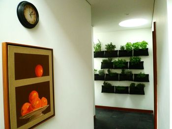Diseño de Jardines Bogota y Colombia