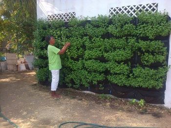 Jardines Exteriores en Bogota y Colombia