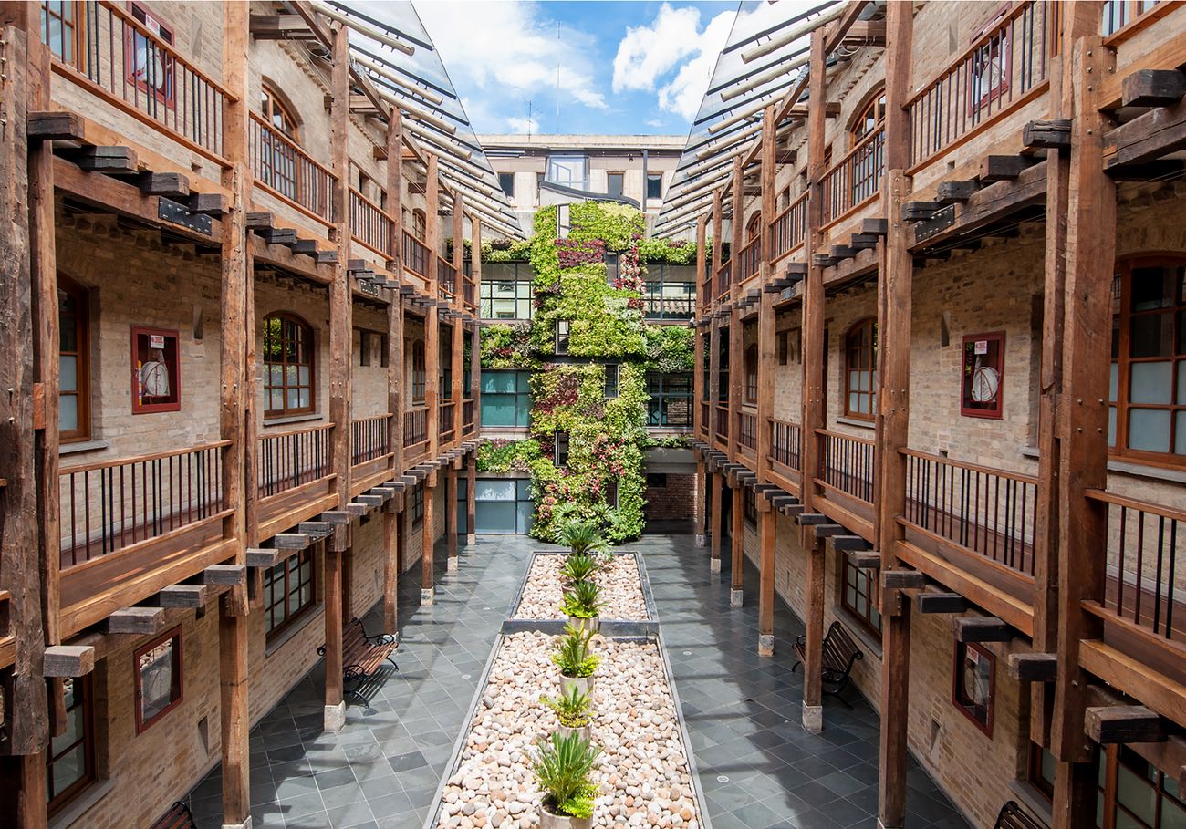 Jardin Vertical Bogota. Decoracion con Jardines Verticales en Bogotá, Medellin y Colombia