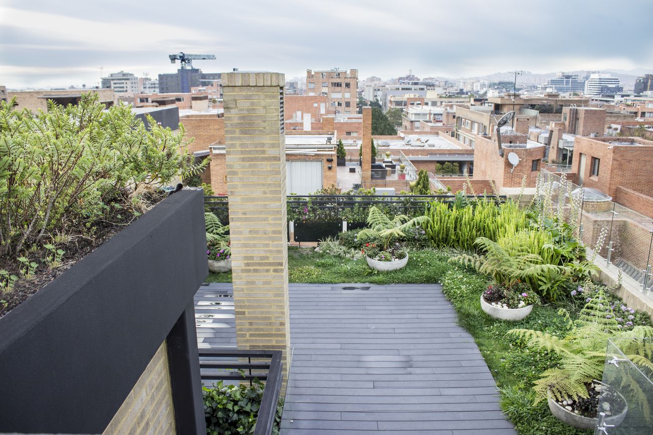 Muros Verdes Bogota y Muros Verdes Medellin y Colombia. Decoracion de Terrazas e Interiores