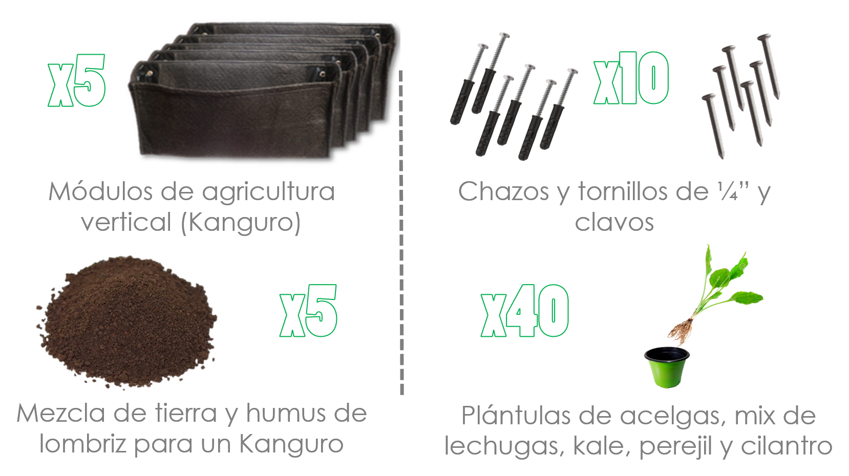 Agricultura Urbana Bogotá Muros Verdes y Agricultura Urbana con hortalizas y aromáticas