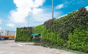 Muro Verde Clgante en Medellin
