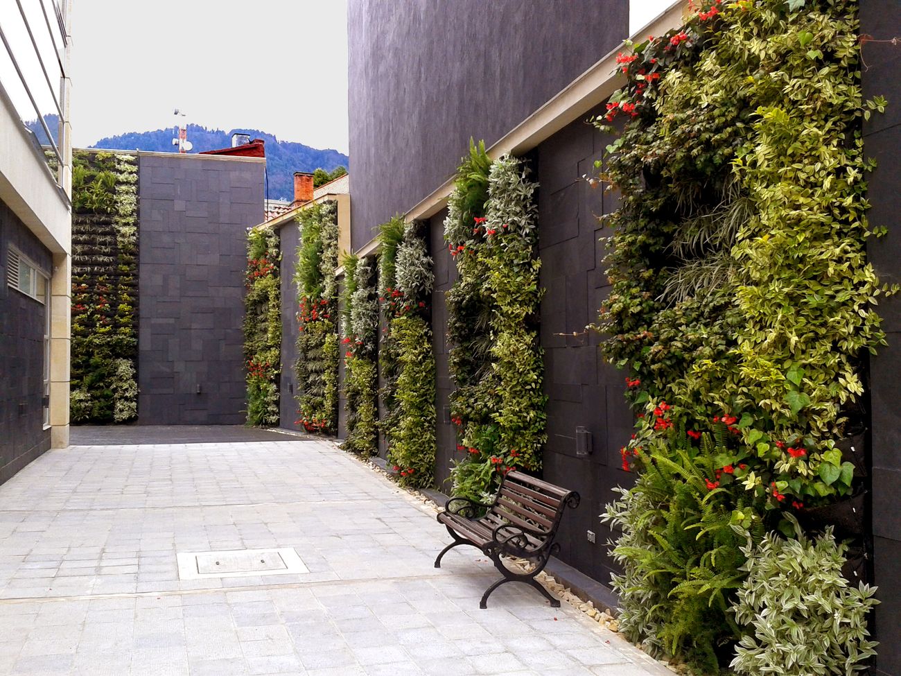 Jardines Bogotá y - Vertín