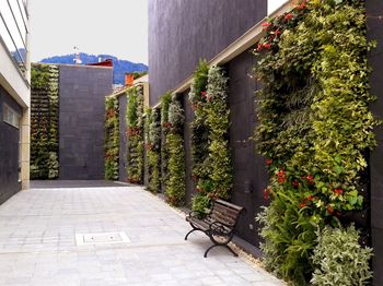 Muros Verdes Bogota