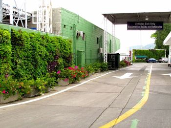 Muros Verdes y Jardines Colgantes Medellin y Bogota