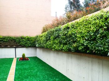 Jardines Verticales y Muros Verdes Bogota
