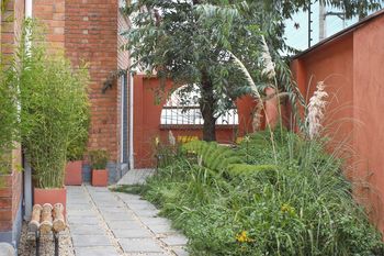 Huerta en Casa con Diseño de Jardín