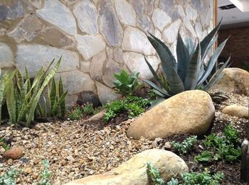 Diseño de jardines interiores y exteriores